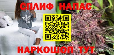 наркотики Будённовск