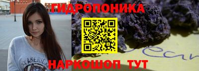 наркотики Будённовск