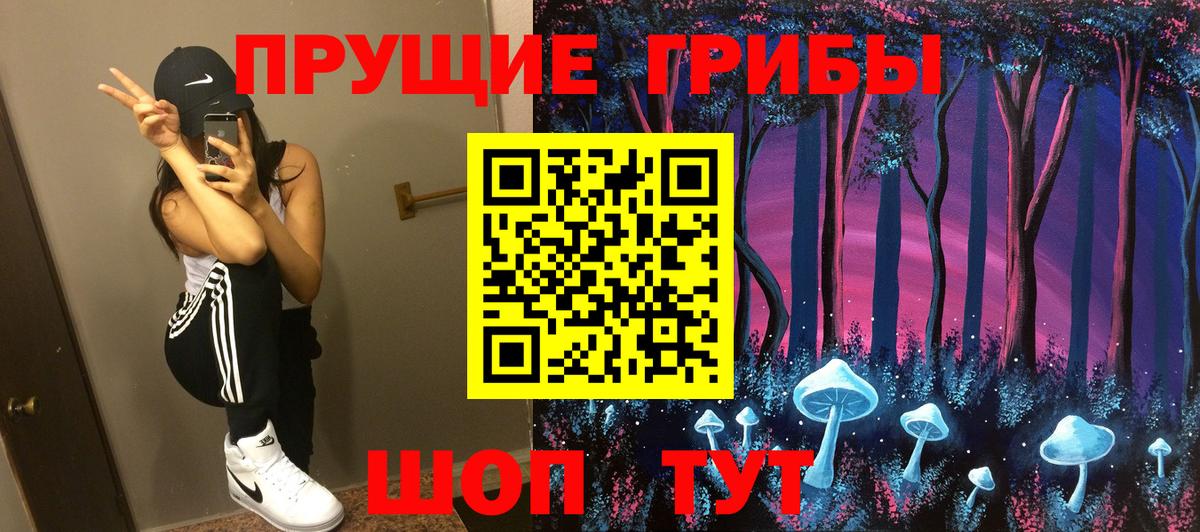 Псилоцибиновые грибы ЛСД Тара