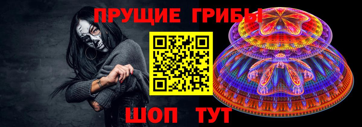 Тара  Псилоцибиновые грибы Magic Shrooms  Вход с VPN  Галлюциногенные грибы GOLDEN TEACHER 